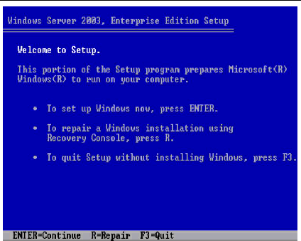 installing windows server 2003 raid drivers without floppy